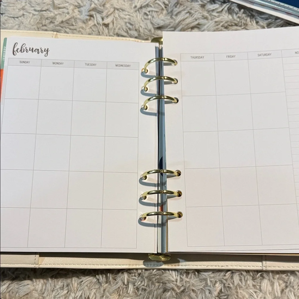 Carpe Diem Planner with Gold Accents and colorful pages